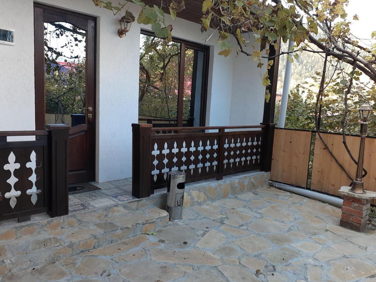 Apartment Borjomi, Erekle Street, 21A Esterno foto